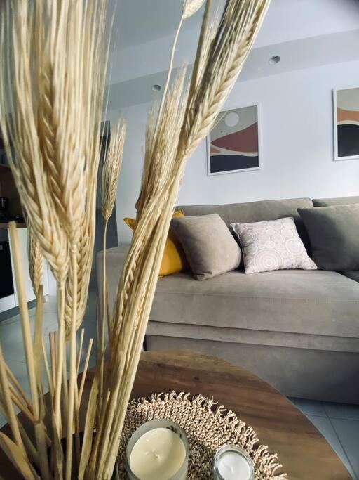 Barkon Apartment Ioannina Exterior photo